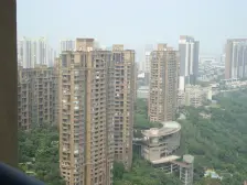 鸳鸯 复地新城就四房