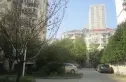 金陵世纪花园实景图