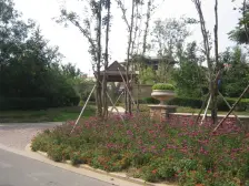 电梯洋房,顶楼采光好,精装修,可以领包入住