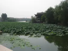 电梯洋房,临湖边,精装修大三房,客厅带阳台诚心出售