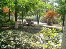 板式纯洋房 精装修 拎包入住 证在手随时签约 楼层好