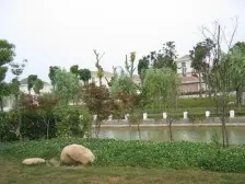 绿波花园新出房源,诚售,集中南花园,小区中心位置,南进门