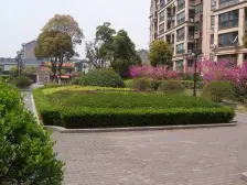 近地铁,无抵押 电梯房 现场实勘,必看好房