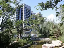 产权清晰,电梯房,无抵押,新上房源