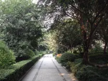 农业园区 枫桥水郡四房100万