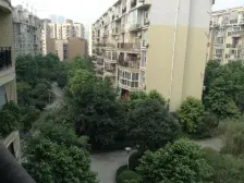 农业园区 枫桥水郡三房65万