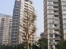 小区为数不多的特殊户型.高区视野好