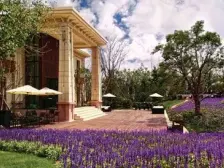 松江大学城·龙湖好望山-别墅·6室·3厅