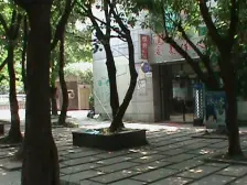 石桥铺 枫丹树语城二房48万