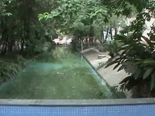 一室一厅小区环境好 单价低 封闭式园林小区