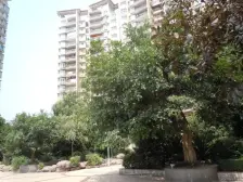 捡趴活!精装三房,价格实惠,性价比超高