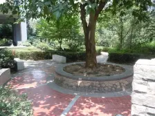 高新区 巴渝佳梦二房72万