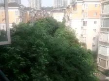 融侨半岛风临洲B区 3室2厅 东 南 北