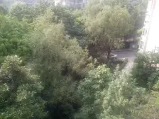 精装板式小洋房,前后朝中庭,住家安静