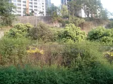 南坪融侨金辉楼梯洋房1楼,精装3房改2卫,绿化环境好