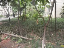 南桥寺 明瑜恒康佳苑二房72万