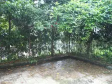 青城雅舍 1室1厅 西