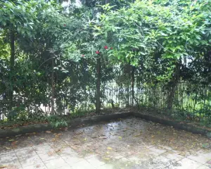 青城雅舍 1室1厅 西