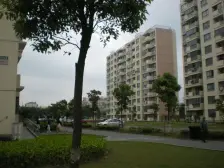 华泾绿苑 2室2厅 南