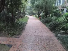 礼嘉龙湖品质小区 直看龙塘湖公园 视野很好 出行方便