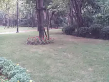 龙湖悠山庭院 小高层 通透横厅户型