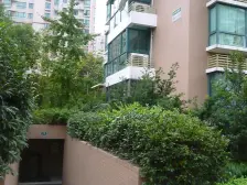 电梯房,大开间,环境优美,居家装修,精装好房