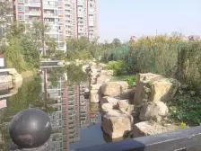 全屋碳晶地暖满五两梯三户楼层好采光充足南北通