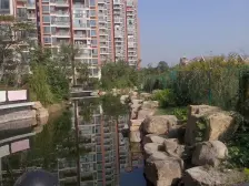 12号线G60旁,南面小花园,疏影错落,临河精致小户型