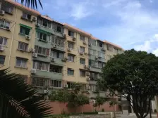 莘城苑东边套全明三房 双天井 满五年税少 看房方便 莘光未用