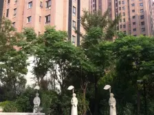 龙湖郦城4室南朝向2000.00万元/套出售