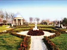 杨行 · 远洋香奈 · 3室 · 0厅