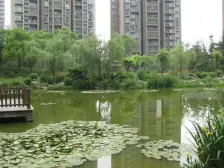 两梯三户得房高,小区中间位置不靠高压线