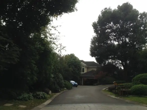 龙湖香樟林别墅实景图