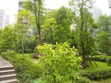 西区 金色池塘三房62万