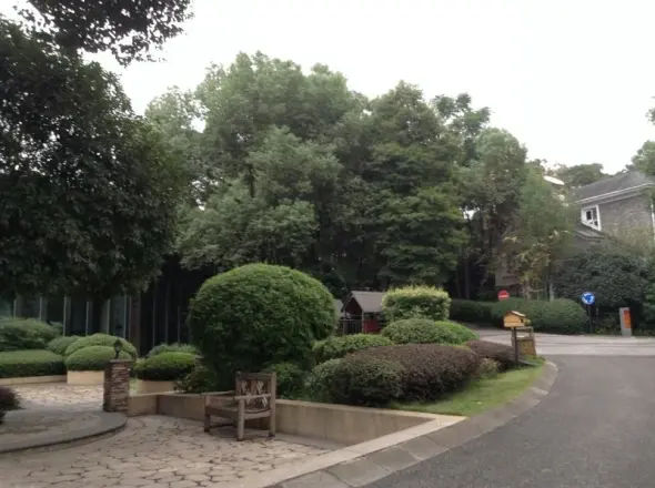 龙湖香樟林别墅实景图