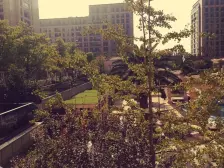 九龙仓玺园5室南朝向2750.00万元/套出售