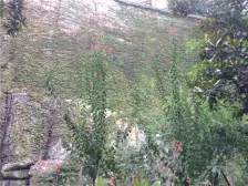 武夷滨江 4室2厅 西