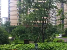 九龙半岛保利心语花园精装3房!