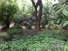 南滨路 武夷滨江三期(阅江山)二房140万