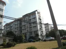 天然氧吧!采光堪比五楼!中间位置电梯两房!