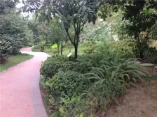 南滨路武夷滨江 精装江景大平层 带独立院馆