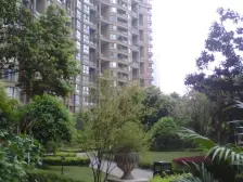 鸳鸯 复地上城二房