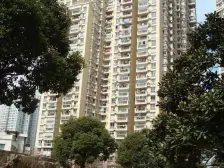 陆家嘴品质小区 双卫方正大两房 户型方正 板楼