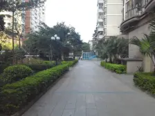 南湖中祥大厦 3室2厅 南 北