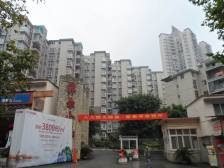 双轻轨房 1楼带前后花园 精装3房 业主诚心出售