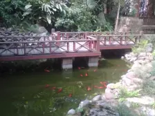 龙湖蓝湖郡西岸 5室2厅 东南