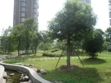 地铁口 翡翠国际 简装3房 总价低 业主诚心卖随时可看