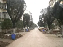 鸳鸯 花朝小区二房38.5万