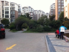 徐汇新城:店长推荐+6复式7+南北通+业主诚售+有地下室