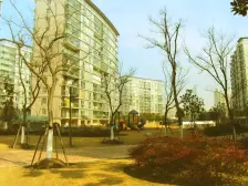 三林·中房樱桃苑·3室·1厅